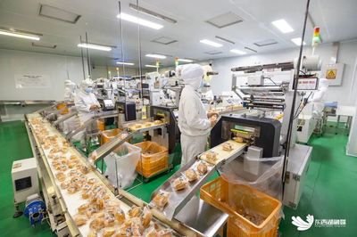 区内企业投资管理 策略、挑战与优化路径