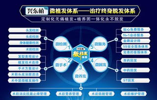 探索深圳植发补发技术 高清图片揭示效果，北京科发源的投资管理视角